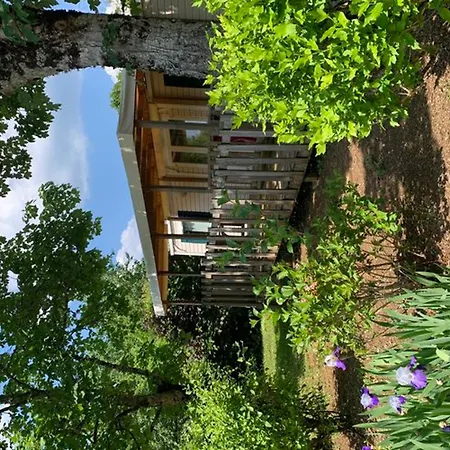 Mobil-home Adapte Pmr Avec Terrasse A - Api-1-52-323