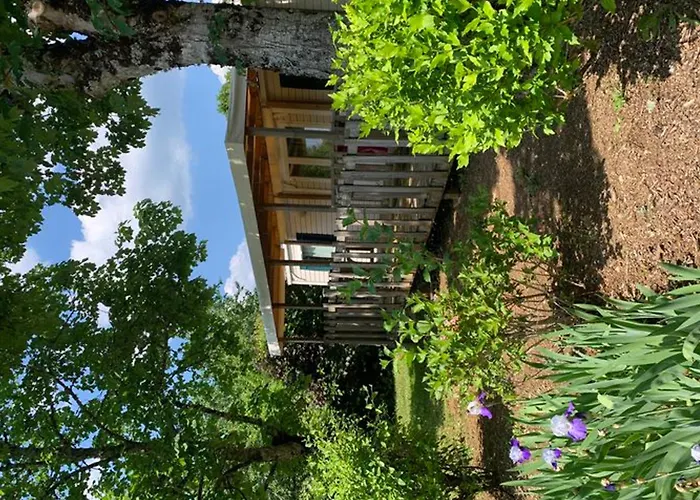 Mobil-home Adapte Pmr Avec Terrasse A - Api-1-52-323